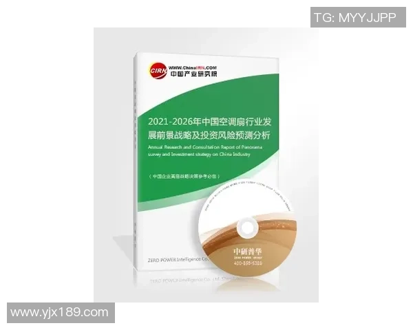 南京排球队运营策略深度分析与发展前景探讨