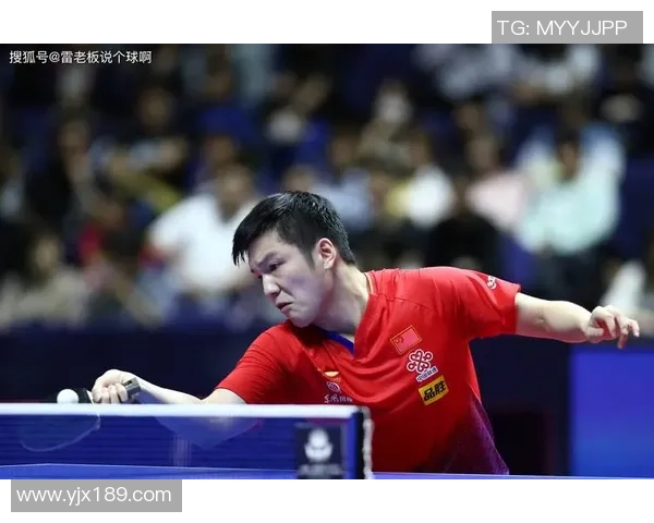 对话杨磊：回顾乒乓球生涯的辉煌与挑战之路