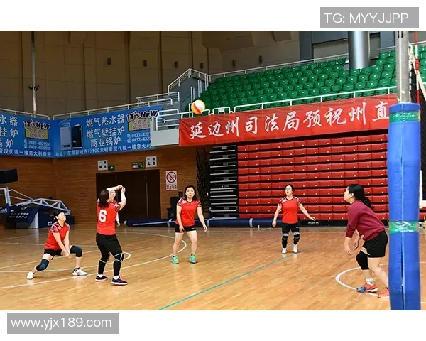 广州排球队的拼搏历程与荣耀时刻全景纪实 广州排球队的拼搏历程与荣耀时刻全景纪实