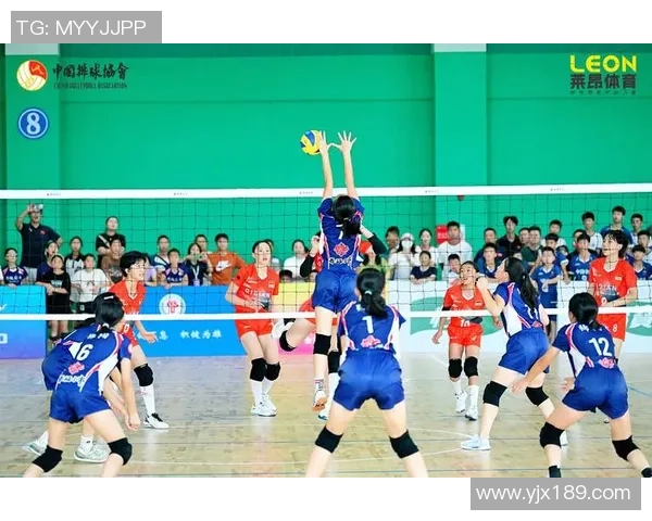 成都排球队的力量变革引发热议展现新风貌与未来潜力