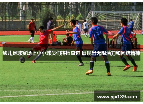 幼儿足球赛场上小小球员们拼搏奋进 展现出无限活力和团结精神