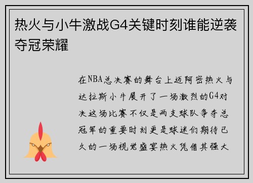 热火与小牛激战G4关键时刻谁能逆袭夺冠荣耀